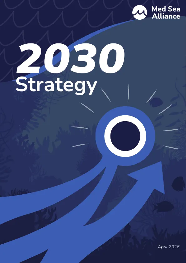 MSA 2030 Strategy — disseny i maquetació del document estratègic de l'aliança (el contingut és de l'aliança) — Pàgina 1