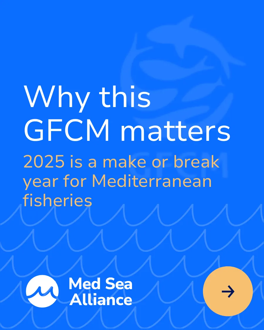 Carrusel per a LinkedIn — "Why this GFCM matters", davant d'un any decisiu per a la pesca mediterrània — Pàgina 1