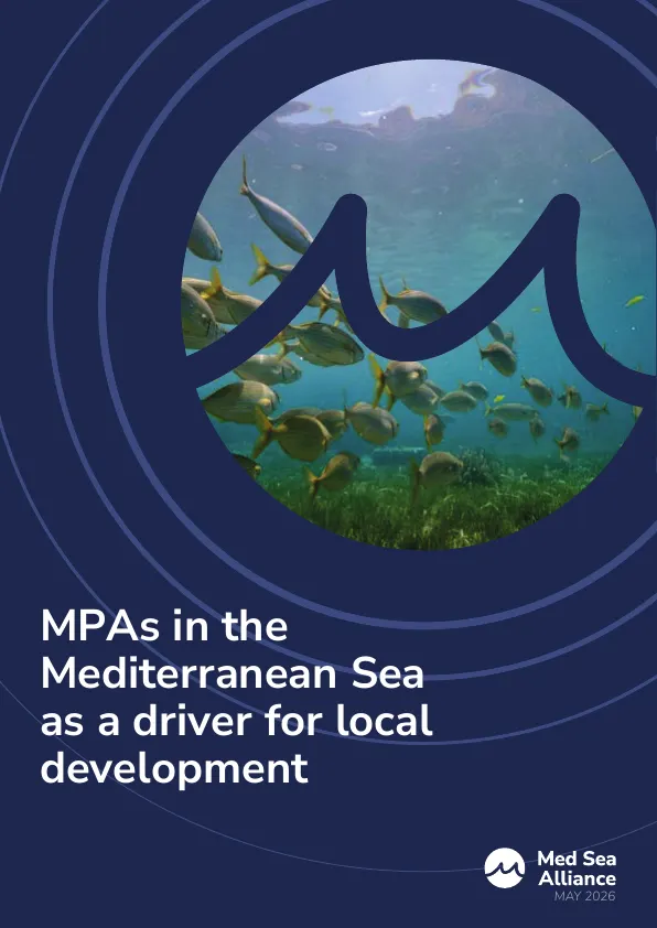 Les AMP com a motor de desenvolupament local — redissenyat a partir del disseny d'una altra agència, amb campanya de difusió amb els membres — Pàgina 1