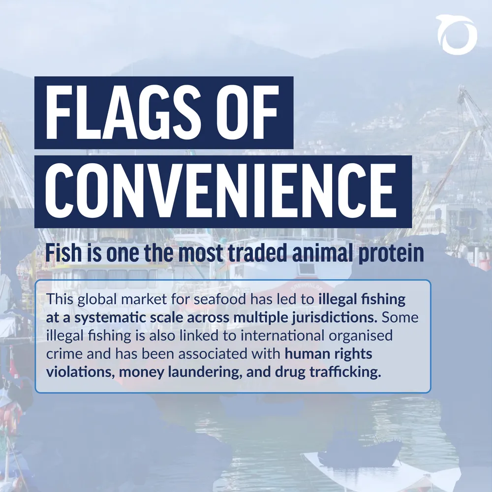 Banderes de conveniència — carrusel per a la campanya contra la pesca il·legal (2024). — Pàgina 1