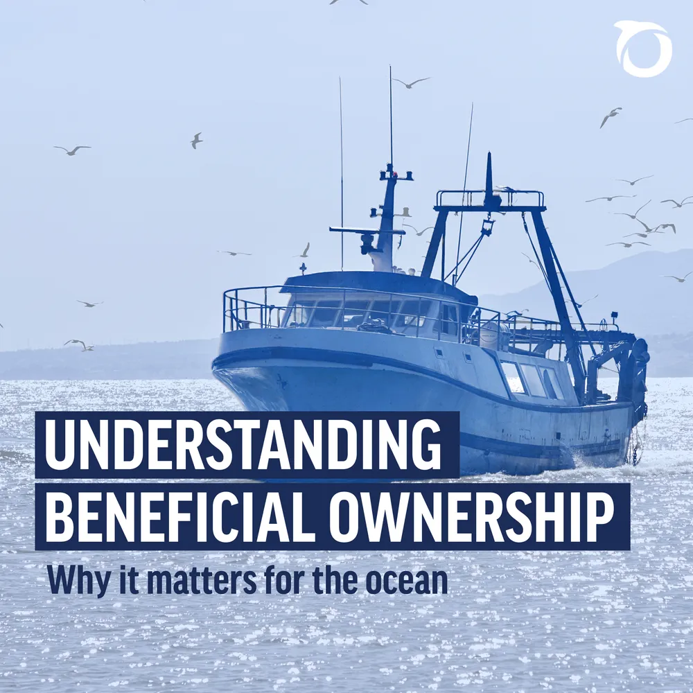 Beneficial ownership — carrusel sobre transparència en la propietat dels vaixells pesquers (2025). — Pàgina 1