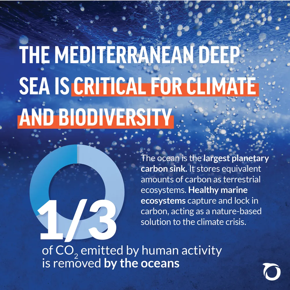 Sèrie de tiles dissenyada per a les xarxes d'Oceana (2023). — Pàgina 1
