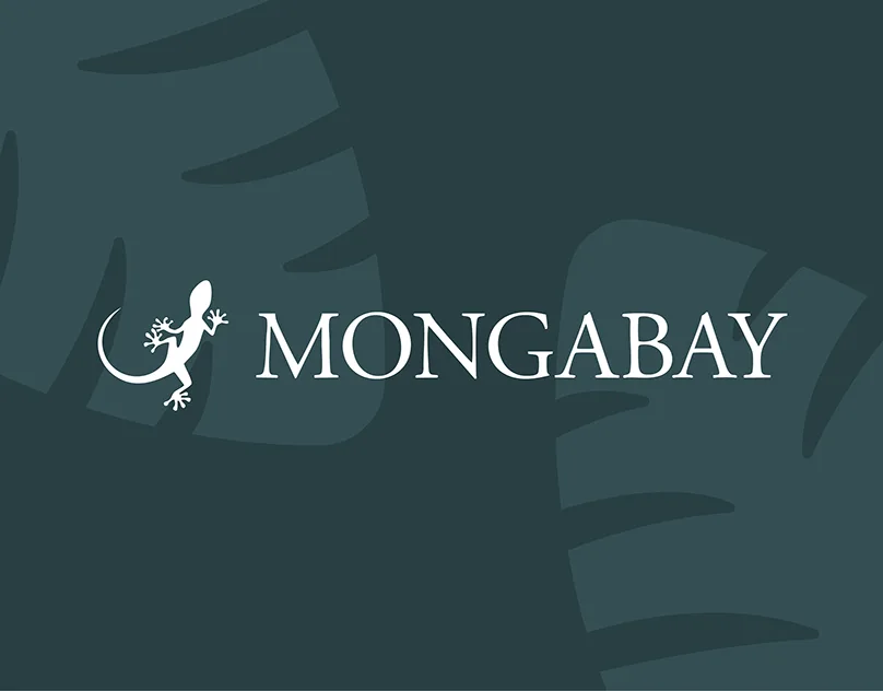 Mongabay