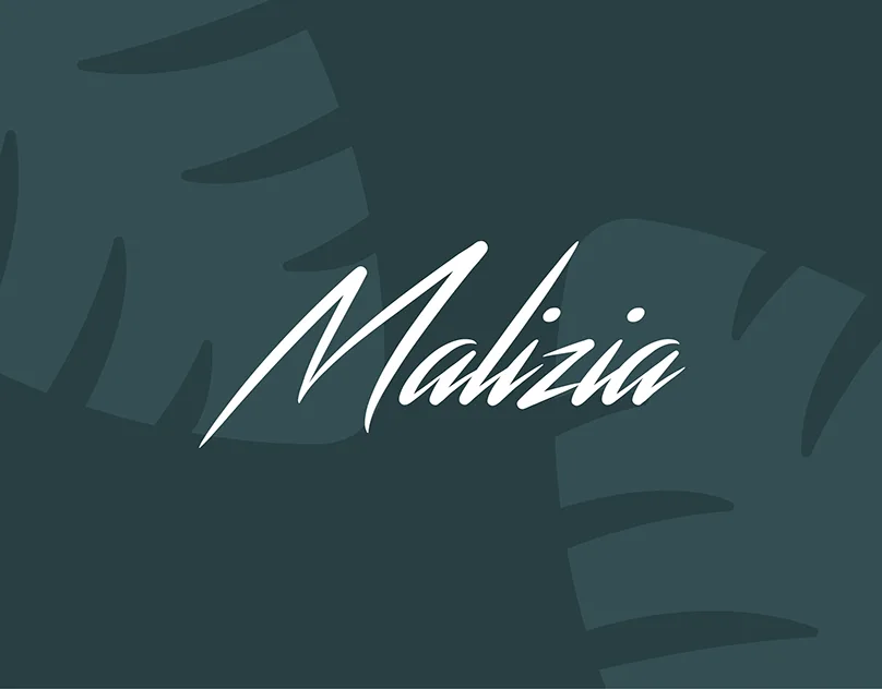 Team Malizia